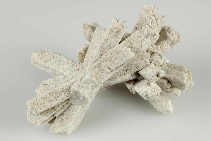 Radiating, Sand Celestine (Celestite) Crystals - Kazakhstan #193410